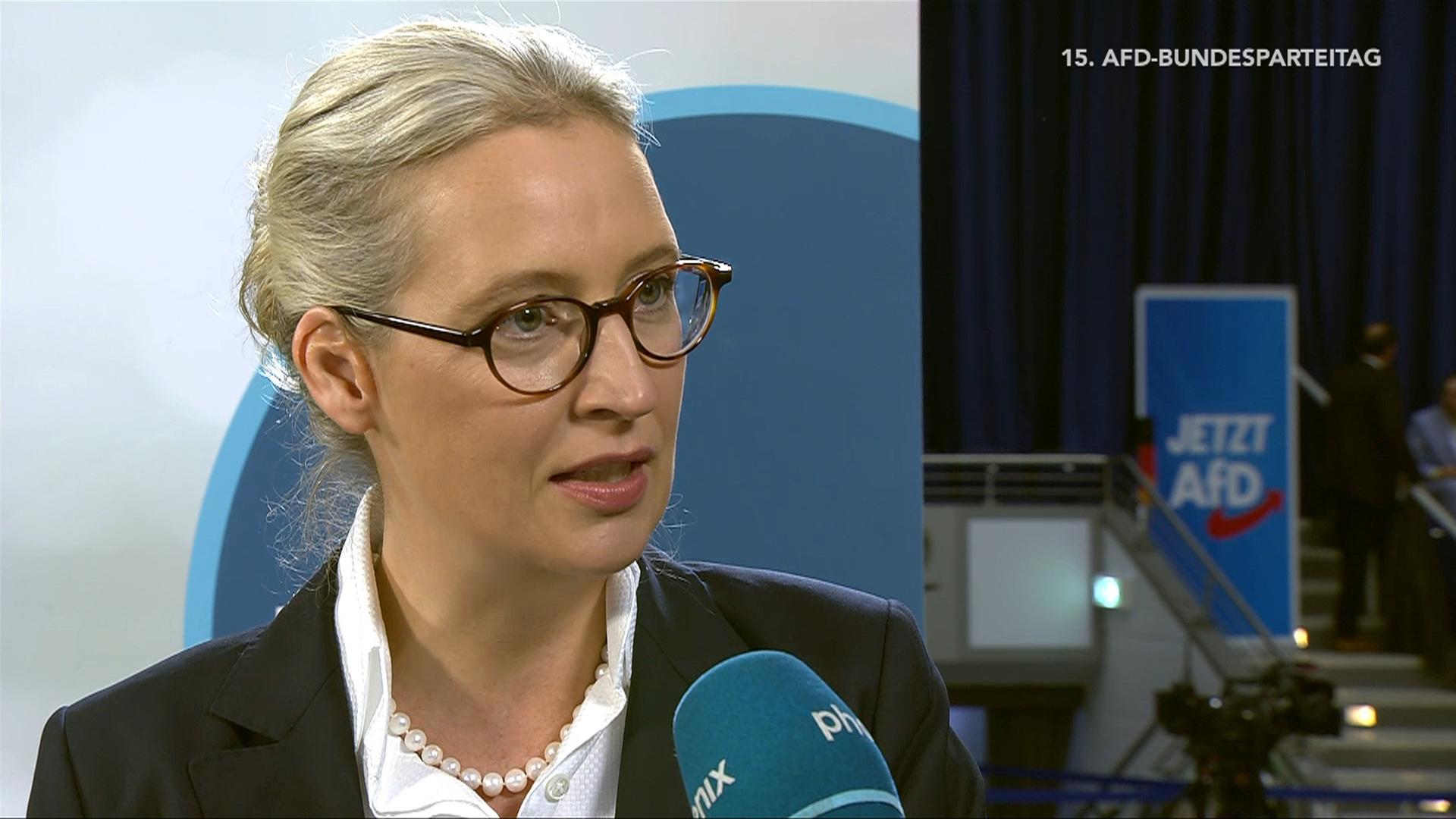 Interview mit Alice Weidel (AfD)