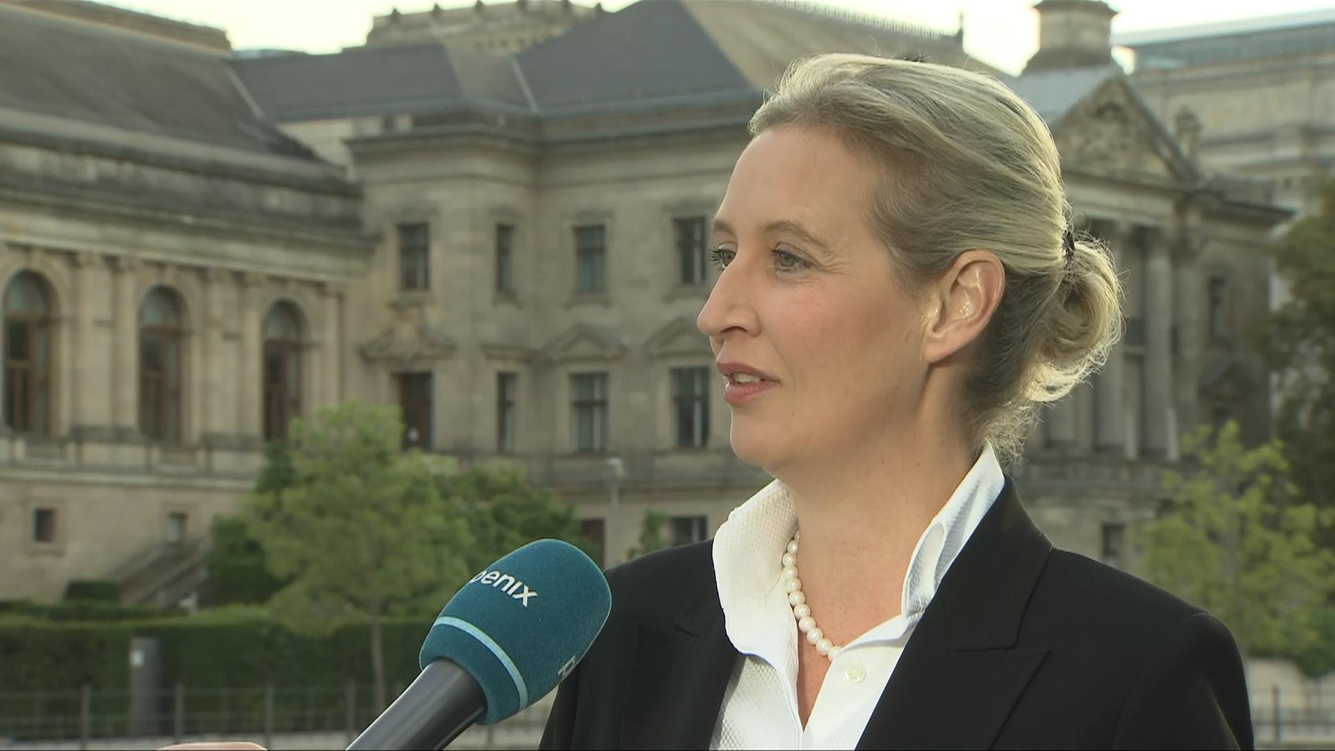 Interview mit Alice Weidel (AfD-Parteivorsitzende)