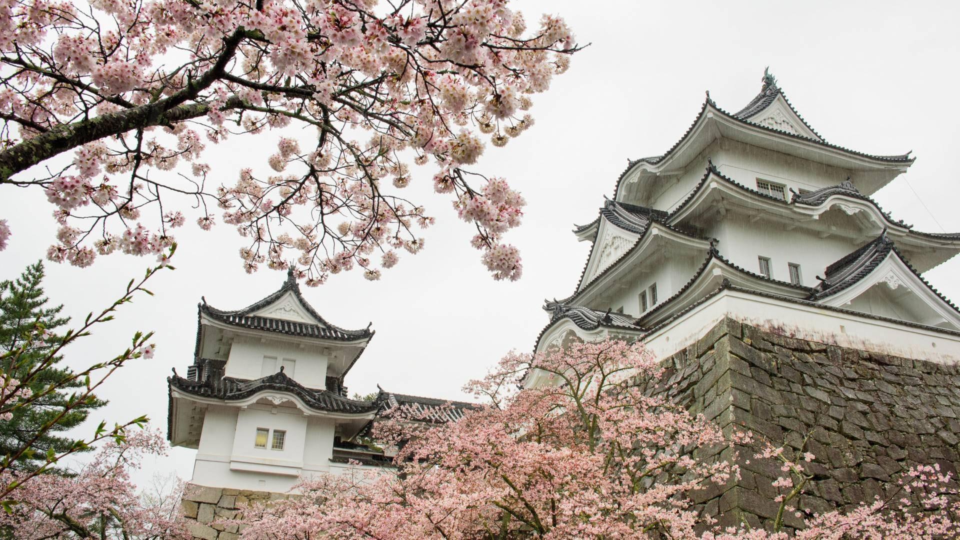 Japan im Licht der Jahreszeiten · Frühling und Sommer