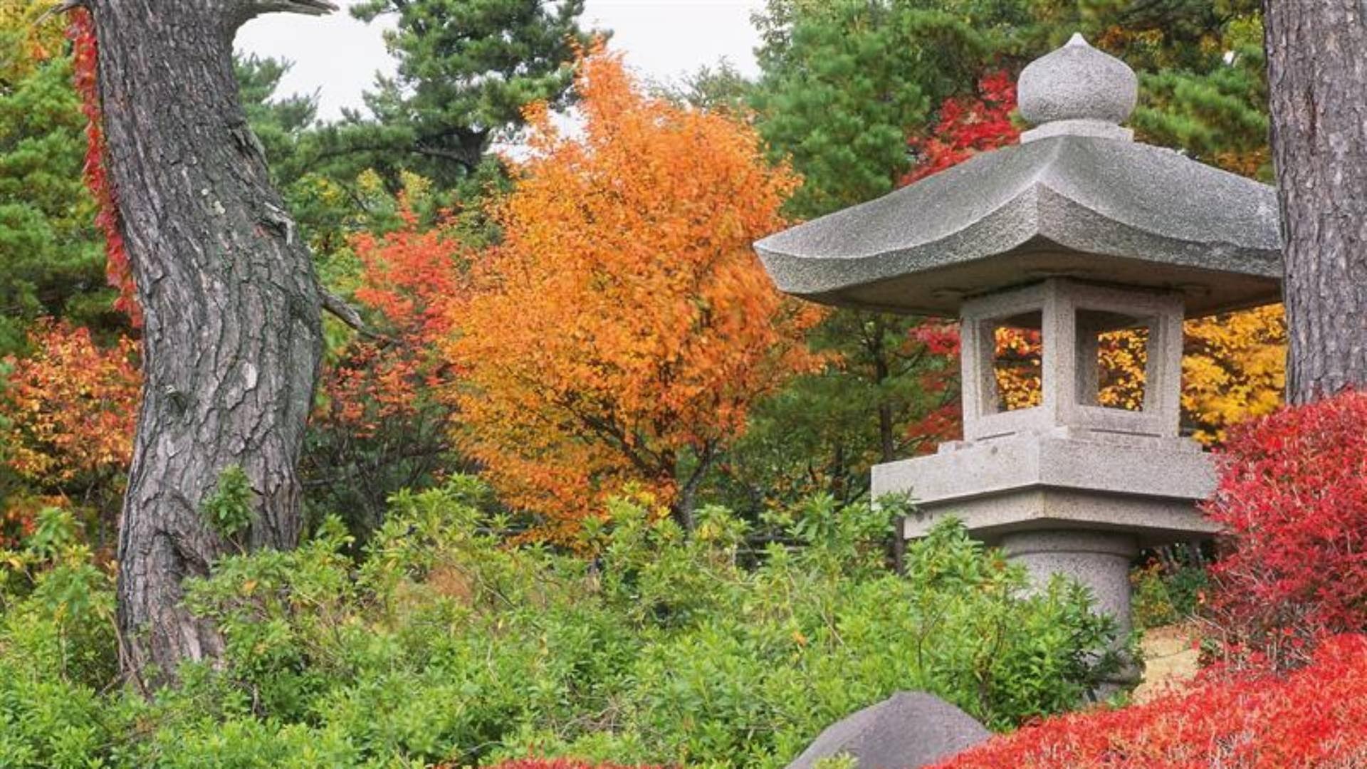 Japan im Licht der Jahreszeiten · Herbst und Winter