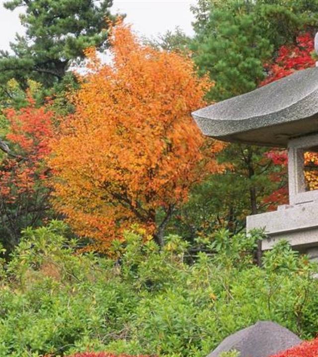 Japan im Licht der Jahreszeiten · Herbst und Winter