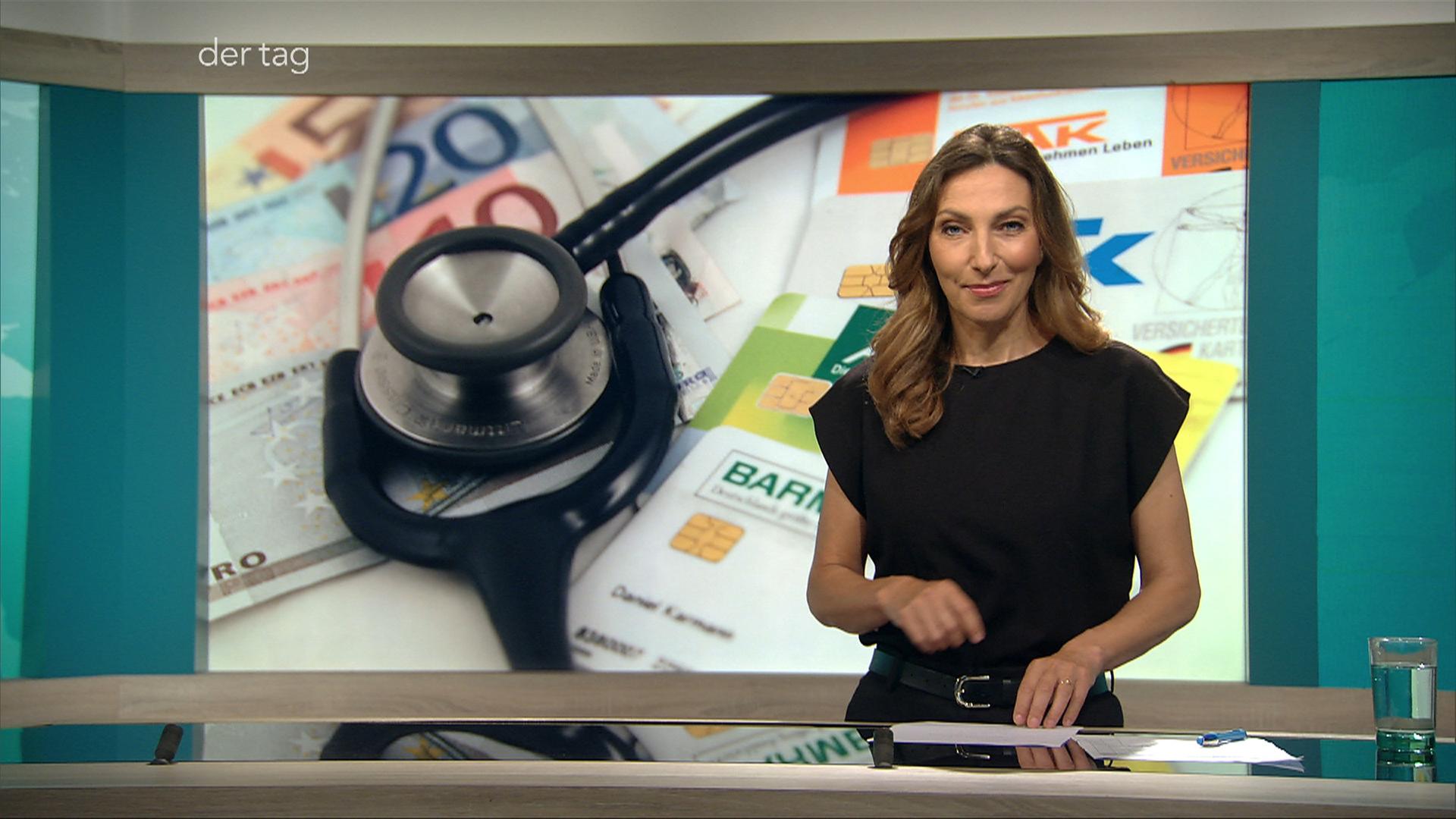 Krankenkassen- und Migrationsreform