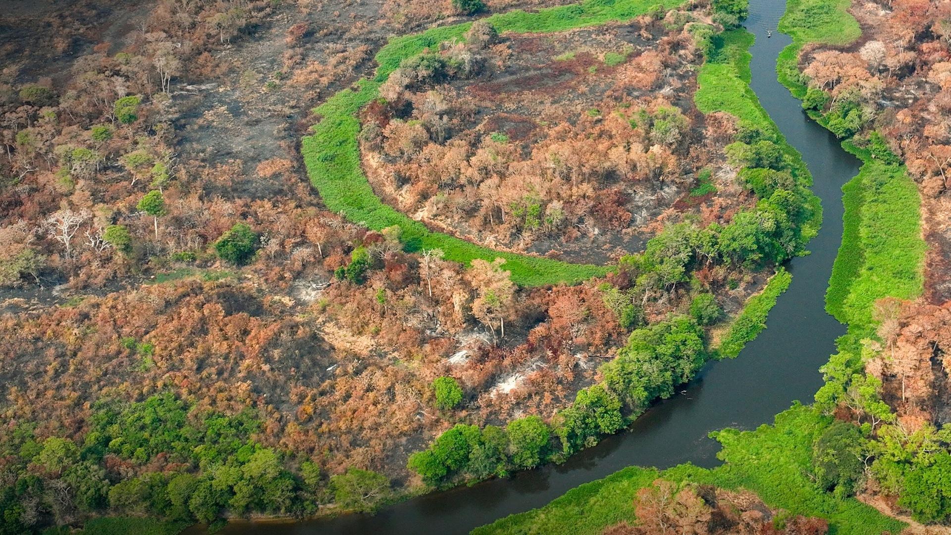 Letzte Chance für das Klima? · Konferenz im Regenwald