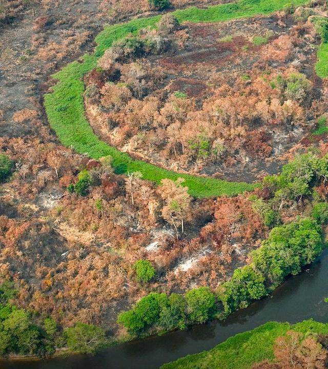Letzte Chance für das Klima? · Konferenz im Regenwald