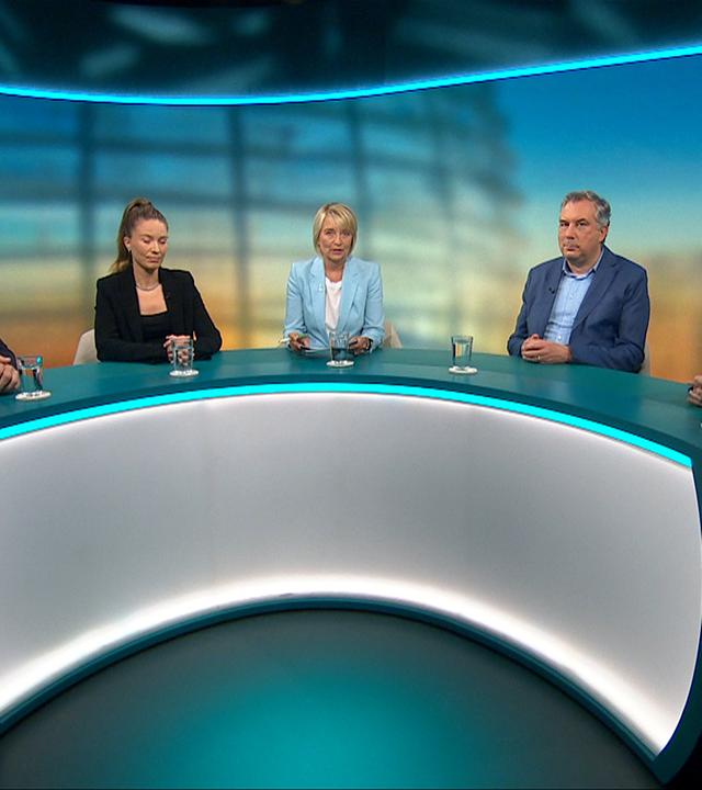 Merz' Herbst der Reformen - Kriegt Schwarz-Rot die Kurve?