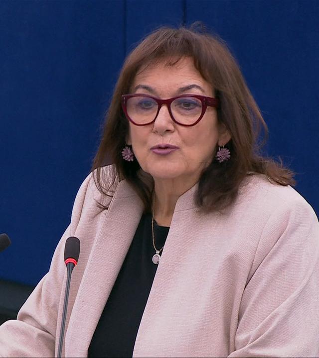 Nahostdebatte im EU-Parlament (1/2)