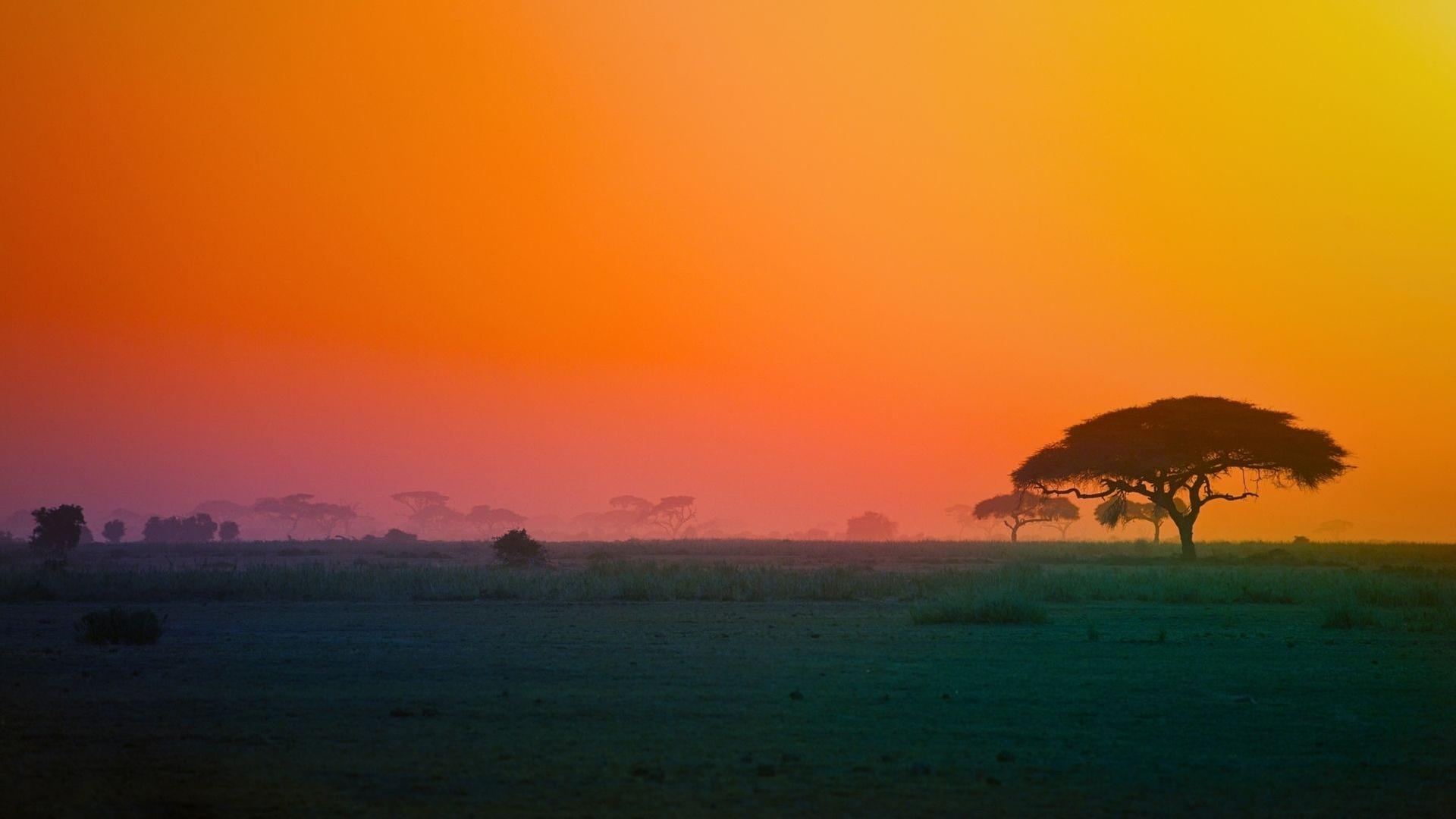 Naturparadiese am Äquator: Afrikas Regenwälder und Savannen
