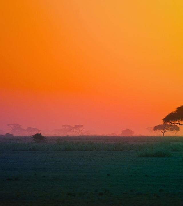 Naturparadiese am Äquator: Afrikas Regenwälder und Savannen