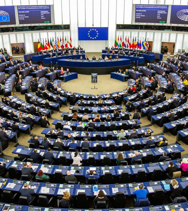 Politik in zwei Minuten: Parteienfamilien