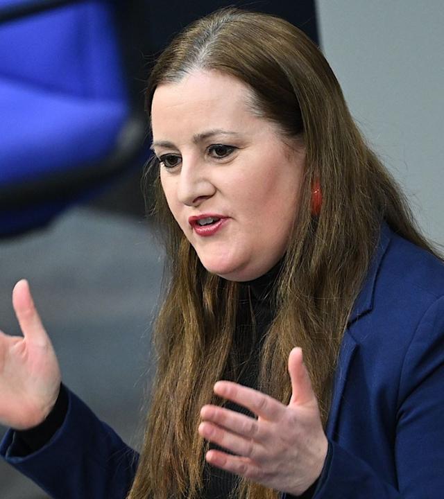 Pressekonferenz Die Linke