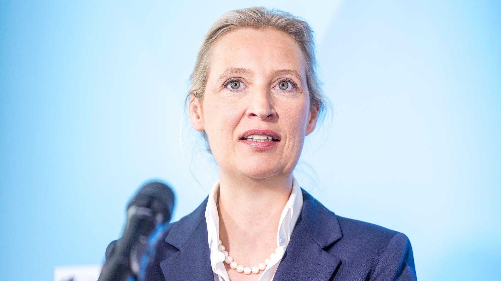 Pressekonferenz nach AfD-Klausur