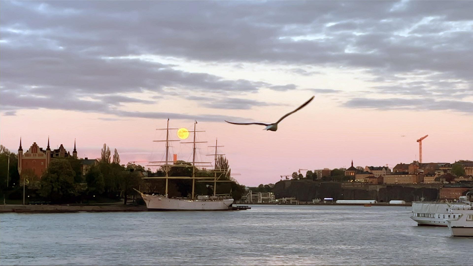 Schweden vor der Europawahl