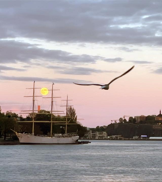 Schweden vor der Europawahl