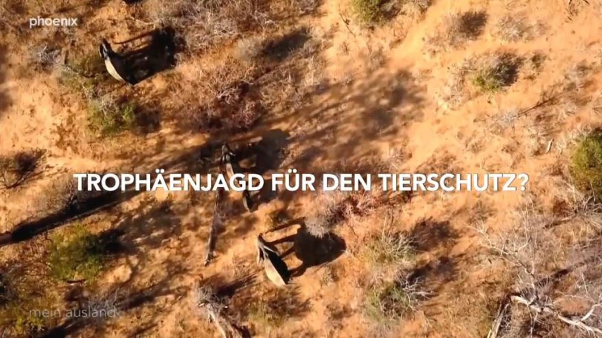 Simbabwe - Trophäenjagd für den Tierschutz?