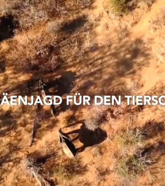 Simbabwe - Trophäenjagd für den Tierschutz?