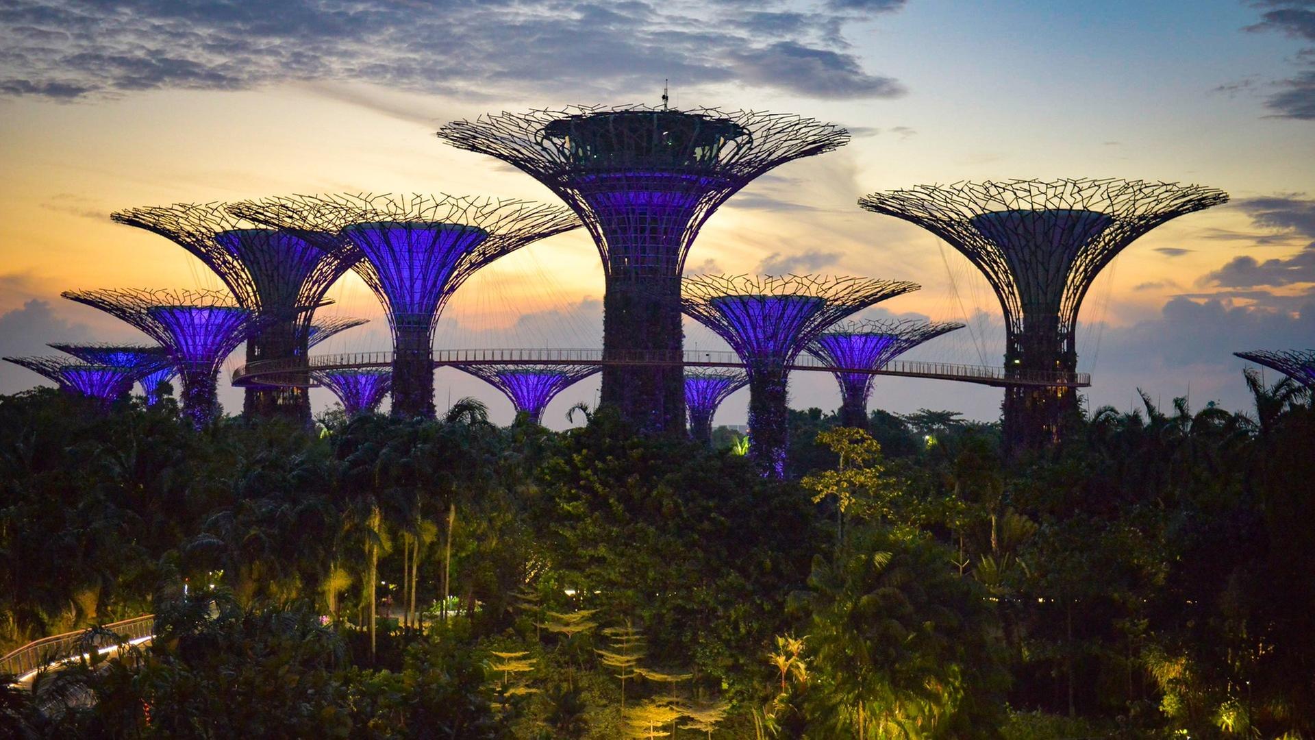Singapur- Hightech und hängende Gärten