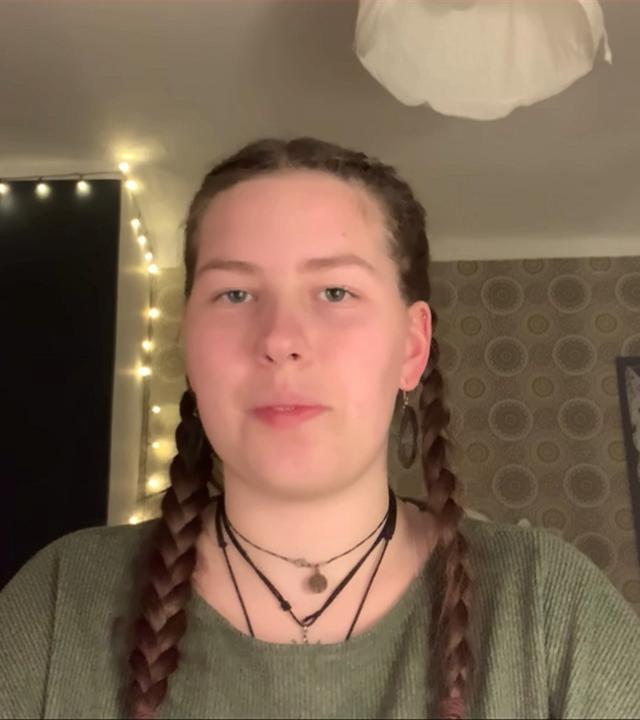 Social-Media-Verbot: "Hauptproblem wird nicht berücksichtigt"