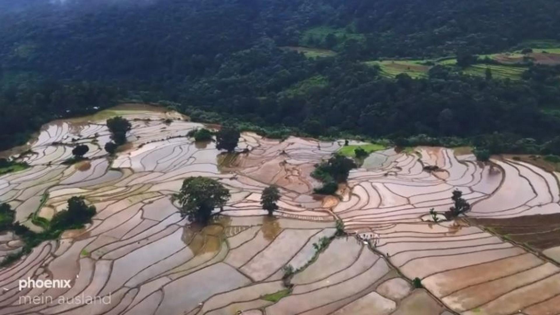 Sri Lanka - Faszination und Terrortrauma