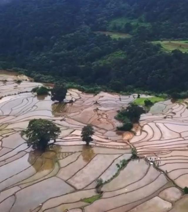 Sri Lanka - Faszination und Terrortrauma