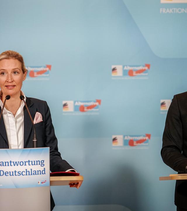 Statement aus der AfD-Fraktion (korrigierter Ton)