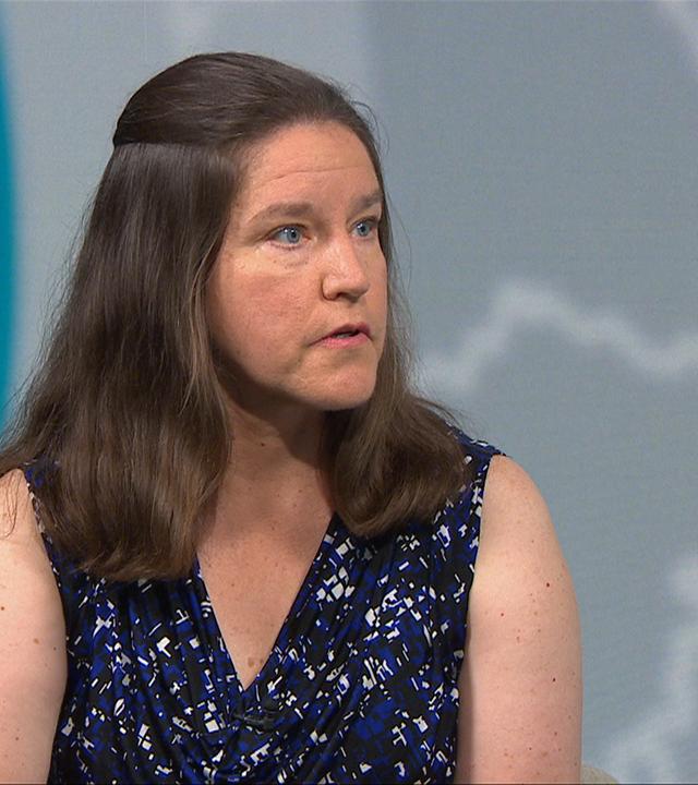 Susan Stewart zu Reformen in der Ukraine