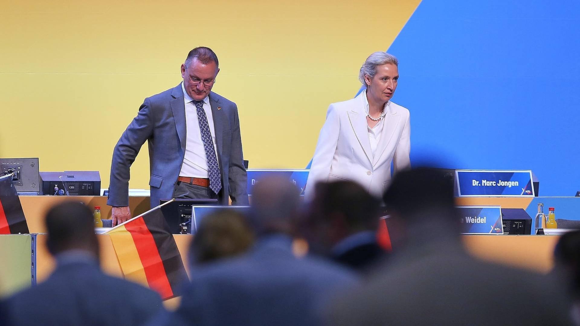 Tag 2: Bundesparteitag der AfD in Erfurt