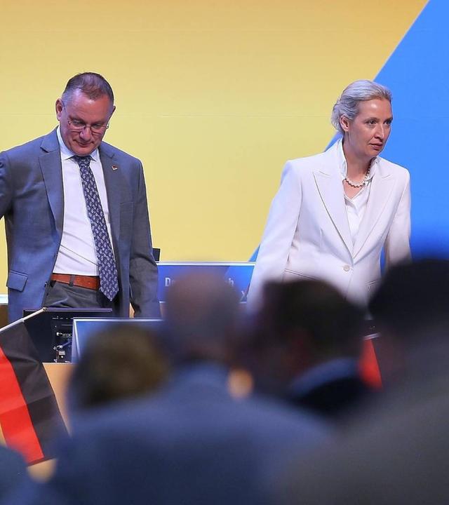 Tag 2: Bundesparteitag der AfD in Erfurt