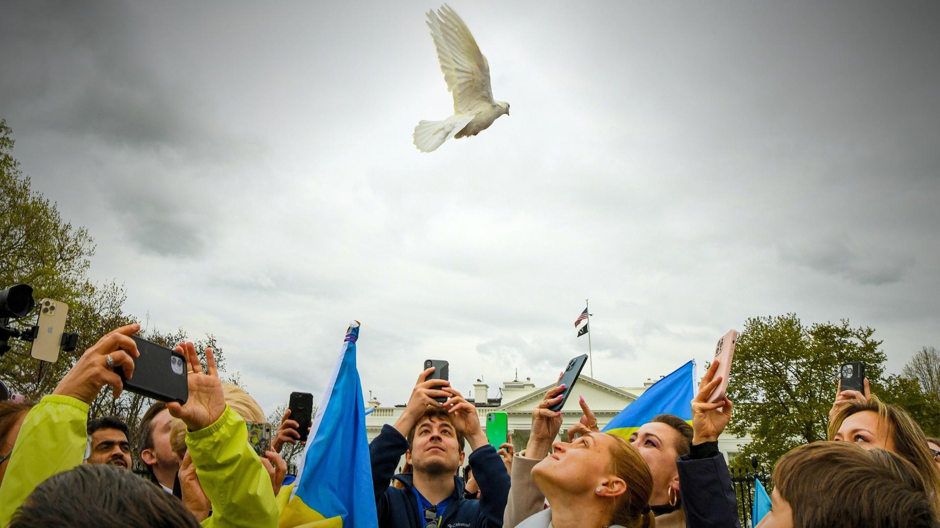 Ukraine im Kriegswinter - Gibt es Chancen auf Frieden?