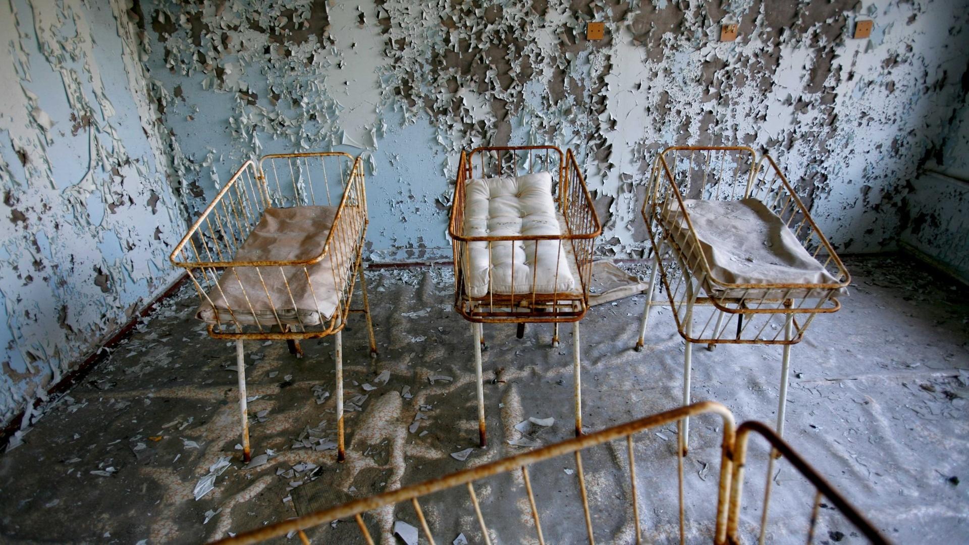 Umweltausschuss: 25 Jahre nach der Reaktorkatastrophe