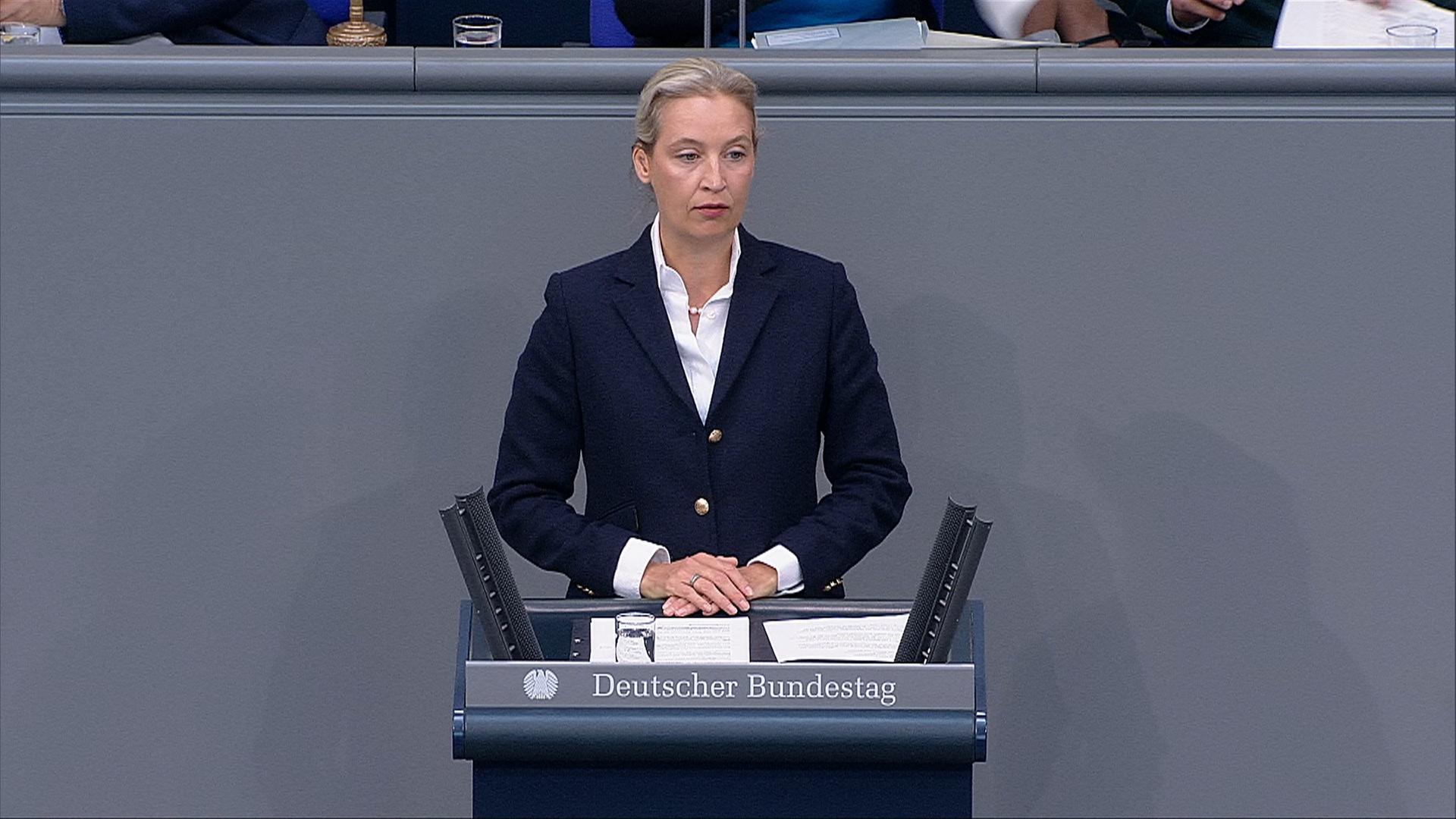 Weidel: "Politisch gewollter Kontrollverlust geht weiter"
