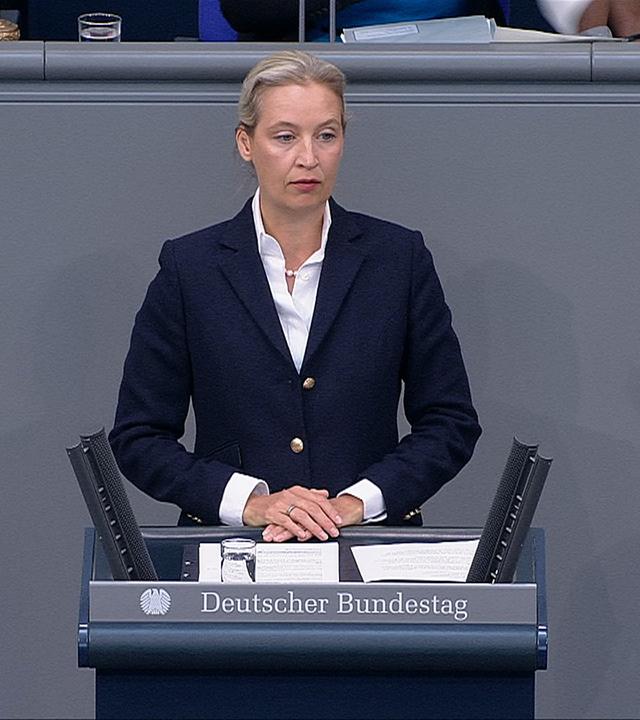 Weidel: "Politisch gewollter Kontrollverlust geht weiter"