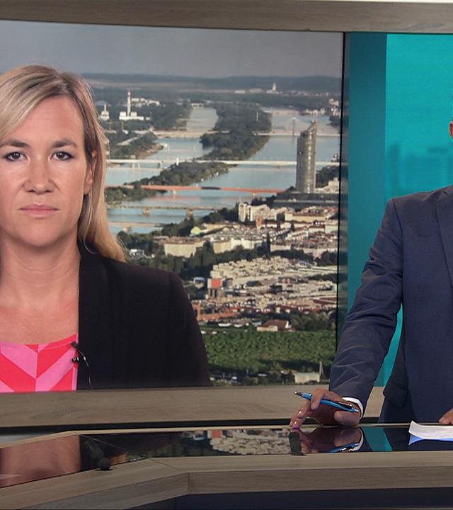 Wien: Terrorverdächtiger hat IS-Schwur geleistet