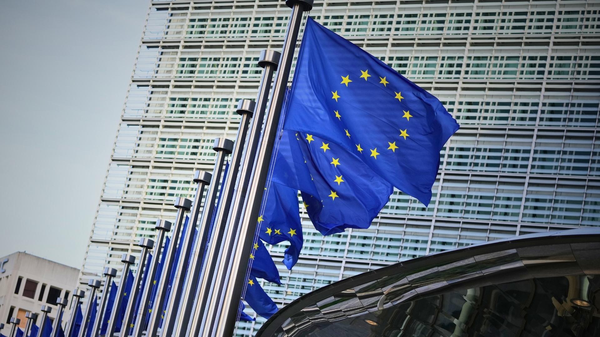 Wir wollen Euch! EU-Erweiterung - grenzenlos?