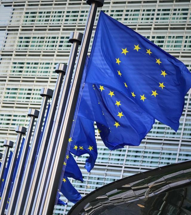 Wir wollen Euch! EU-Erweiterung - grenzenlos?