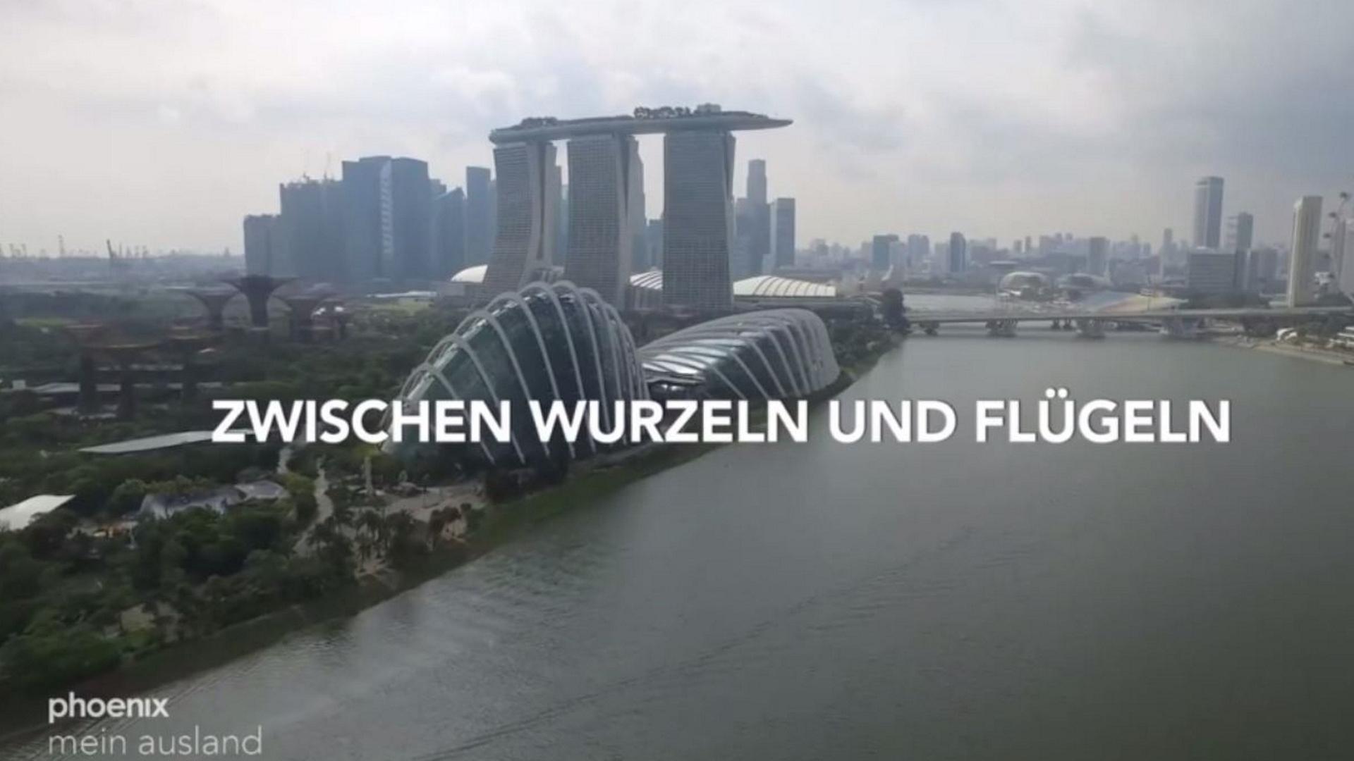 Zwischen Wurzeln und Flügeln