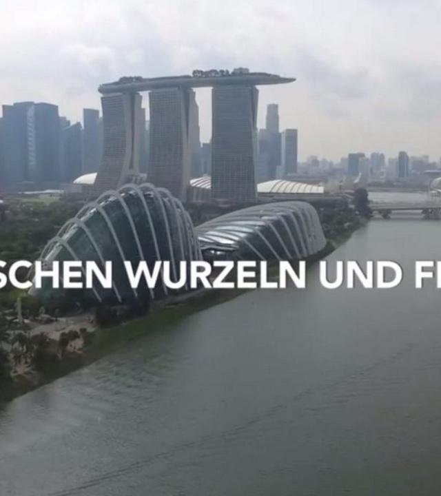 Zwischen Wurzeln und Flügeln