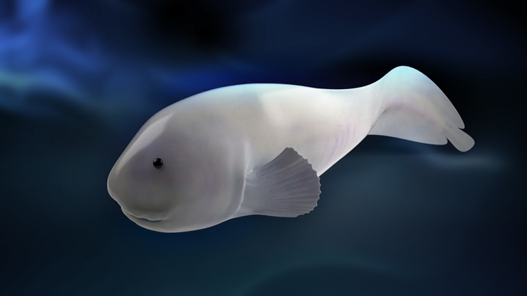 Extreme der Tiefsee – Eisige Abgründe