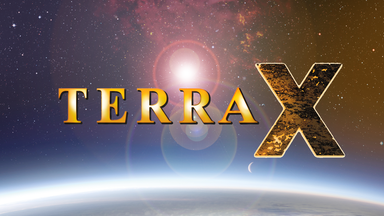 Über Terra X: Geschichte