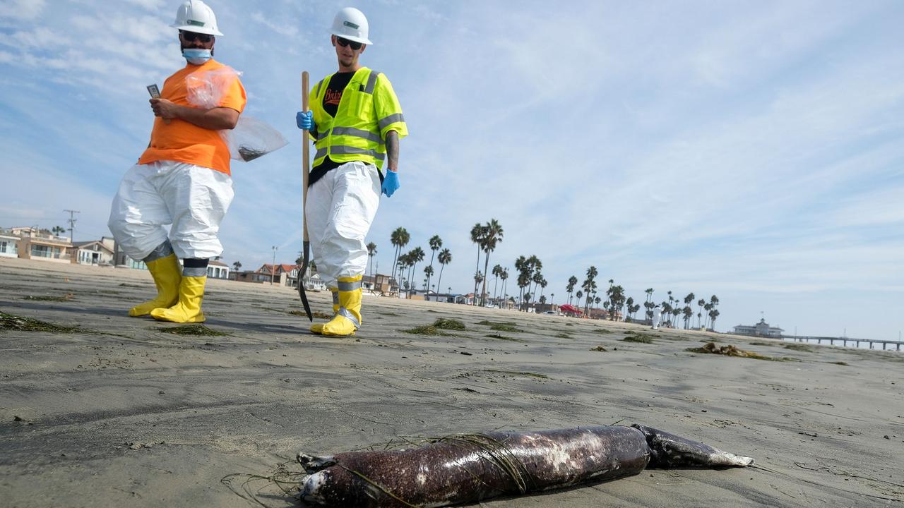 Küstenwache: Riss in Pipeline schon älter