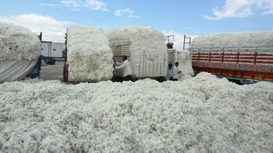 Arbeiter in einer indischen Baumwollmühle. Archivbild