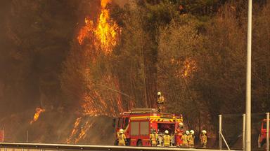 Bereits im November hatte es in Wäldern bei Valparaíso gebrannt.