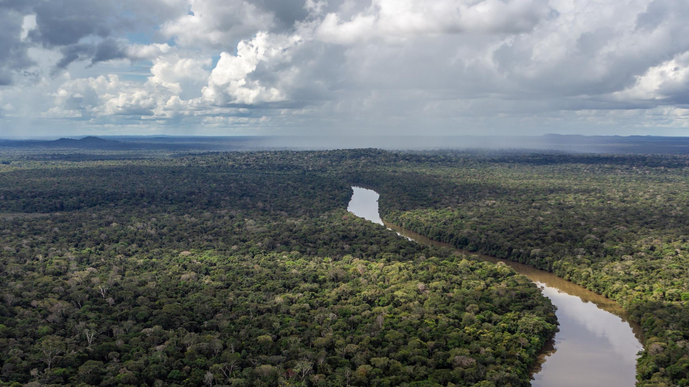 Blick auf einen Fluss im Amazonas.