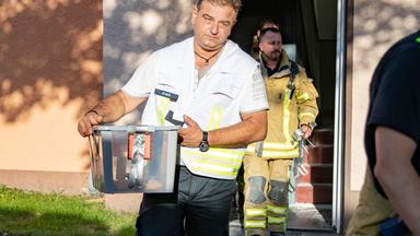 Ein Reptilienexperte trägt die entwischte Kobra. Archiv