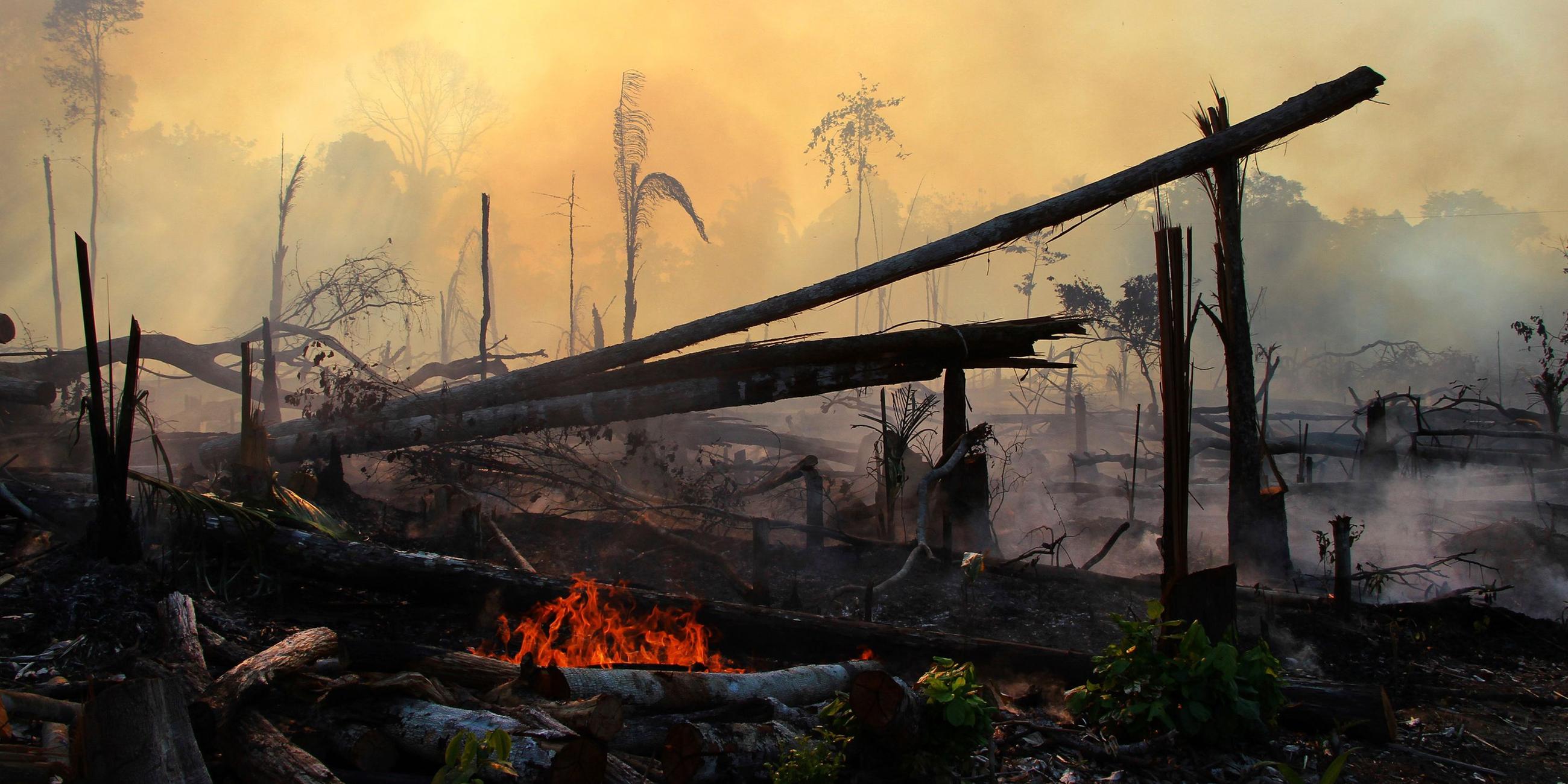 Ein von Bränden heimgesuchtes Gebiet im Amazonas. Archivbild