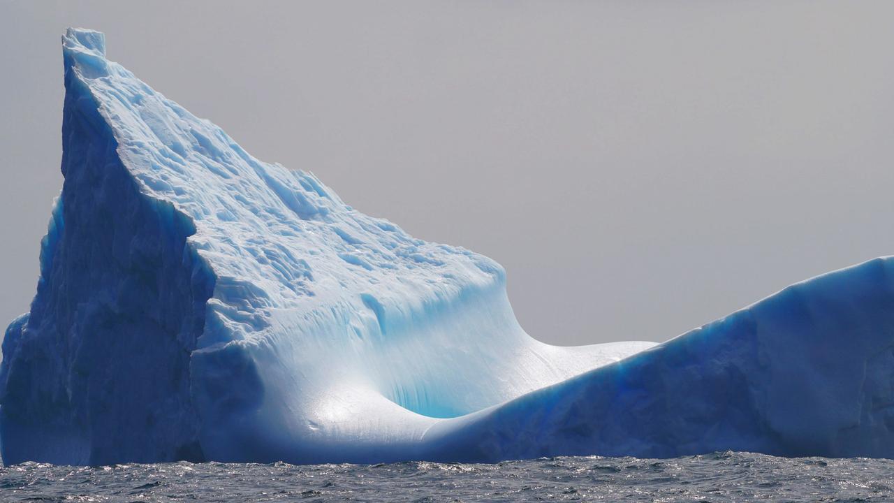 Riesiger Eisberg löst sich vom Festland