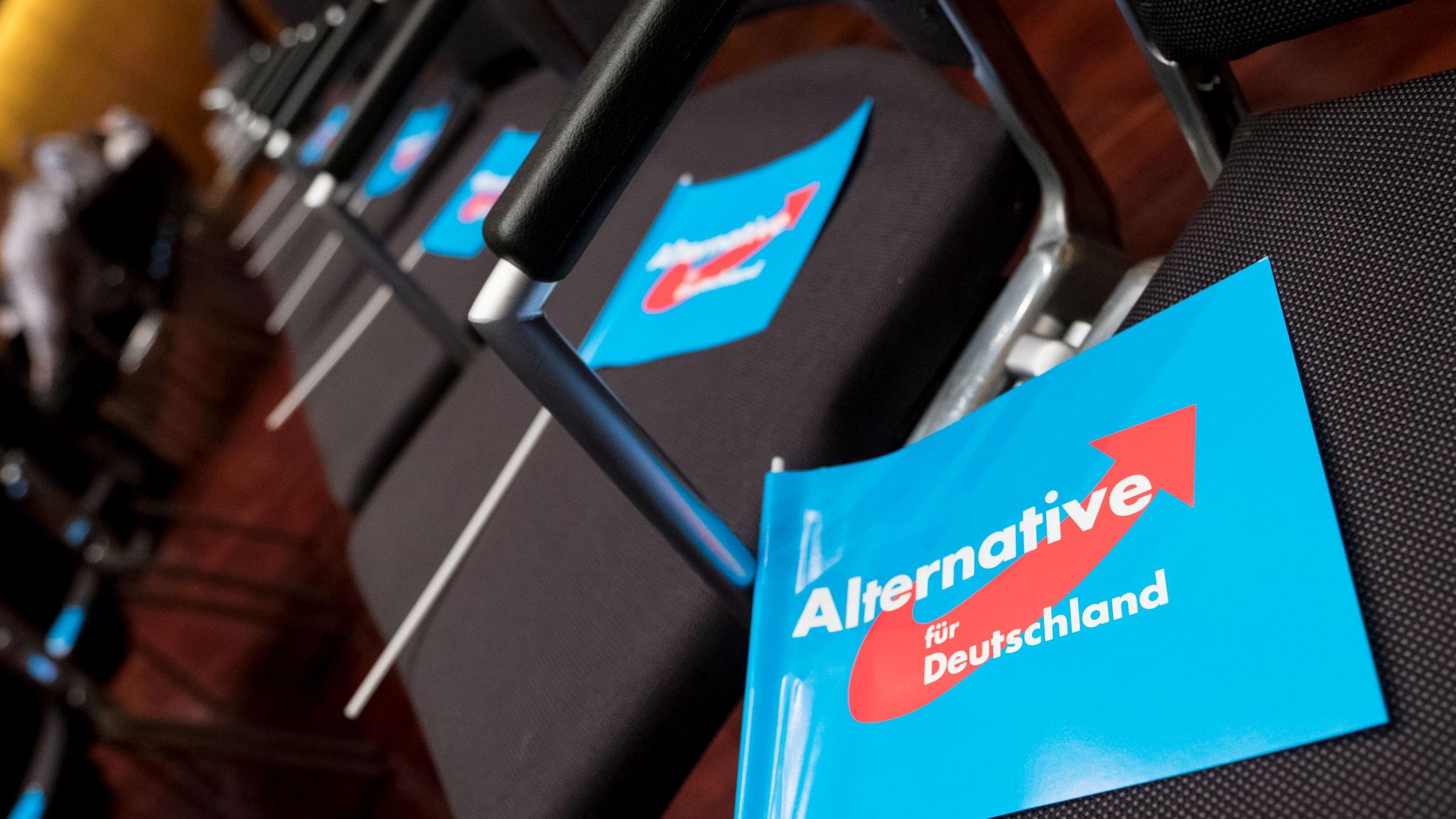 Fahnen der Partei Alternative für Deutschland. Archivbild