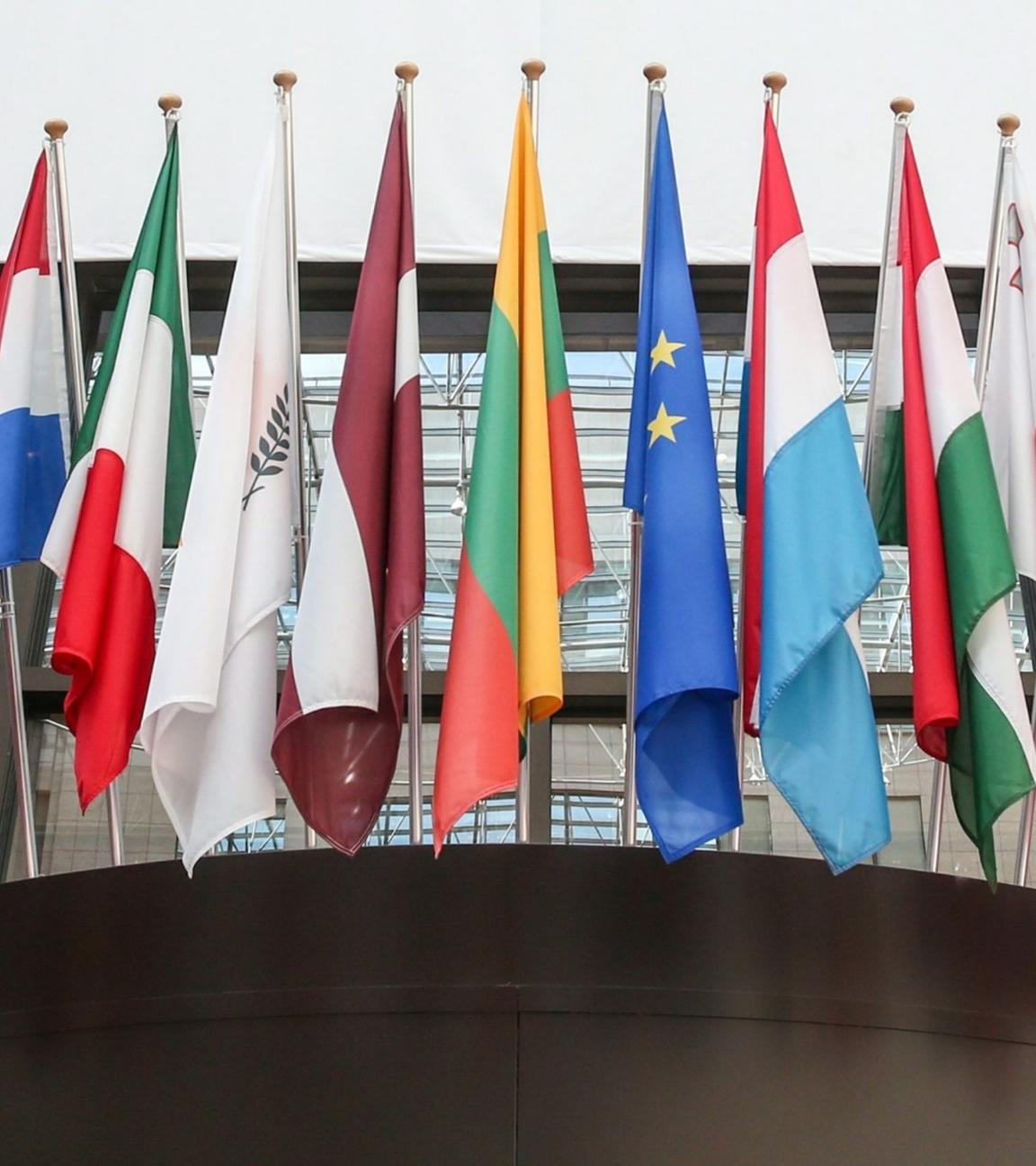 Flaggen der EU-Mitgliedsländer (Symbolbild).