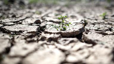 In Namibia herrscht eine extreme Dürre. Archivbild