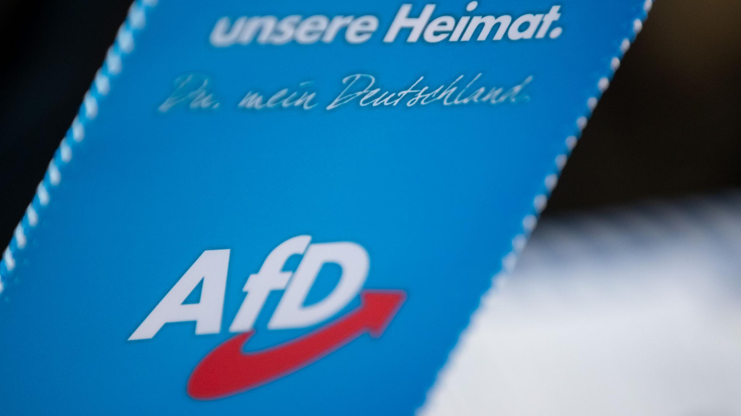 Verfassungsfeindlichkeit der AfD: Interne Arbeitsgruppe sieht Anhaltspunkte  - ZDFheute