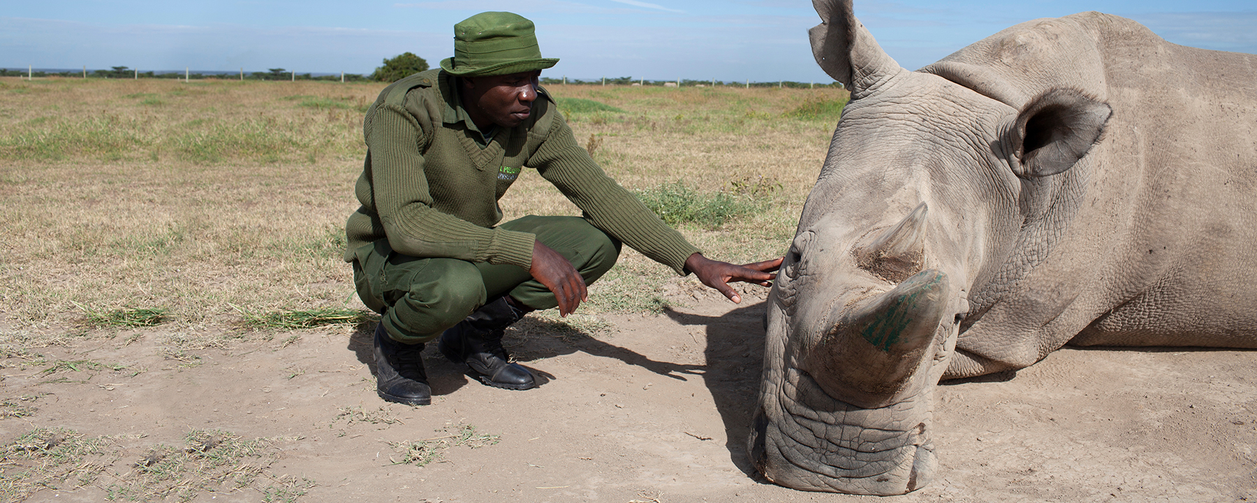 Terra X: Artensterben - Die Fakten